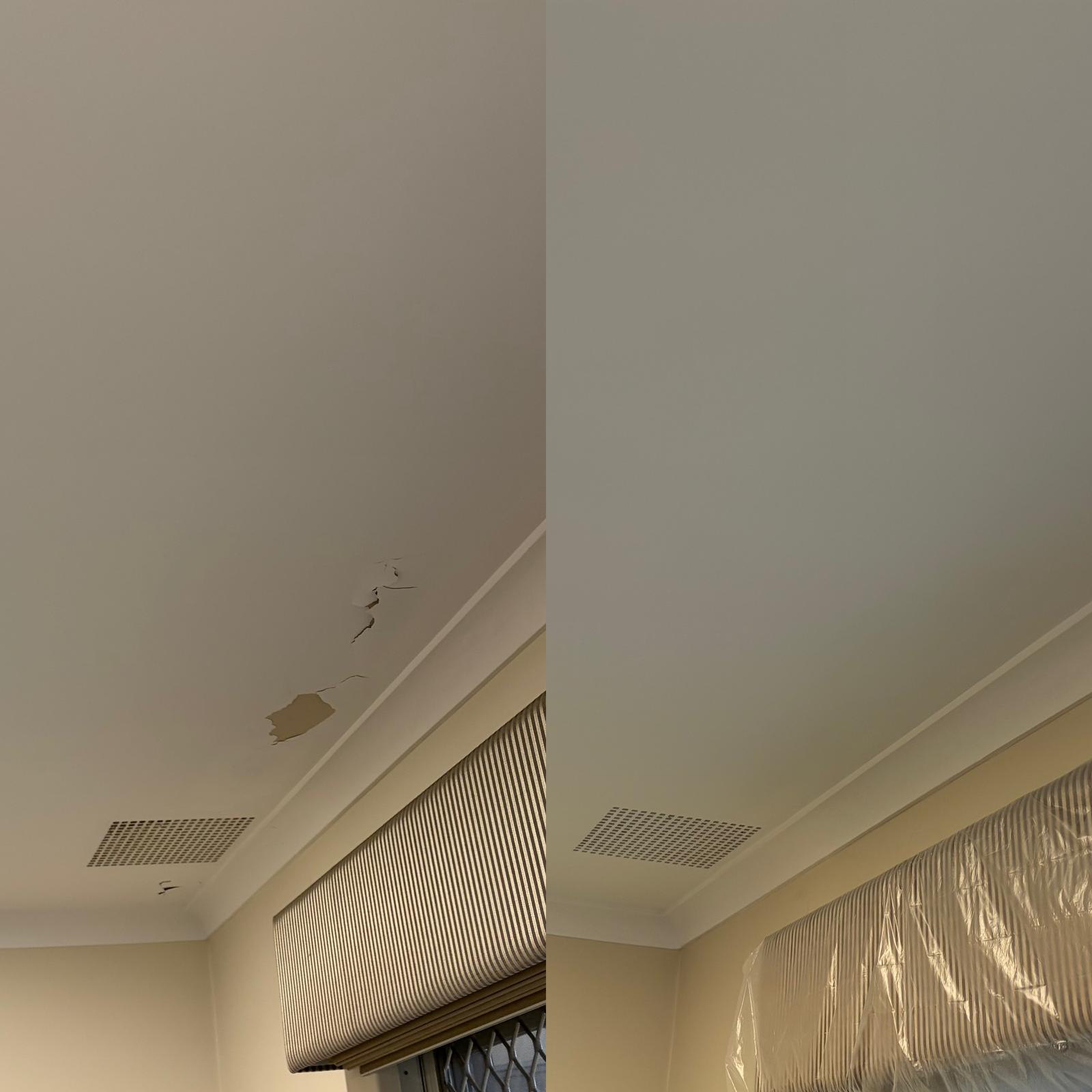  painting project