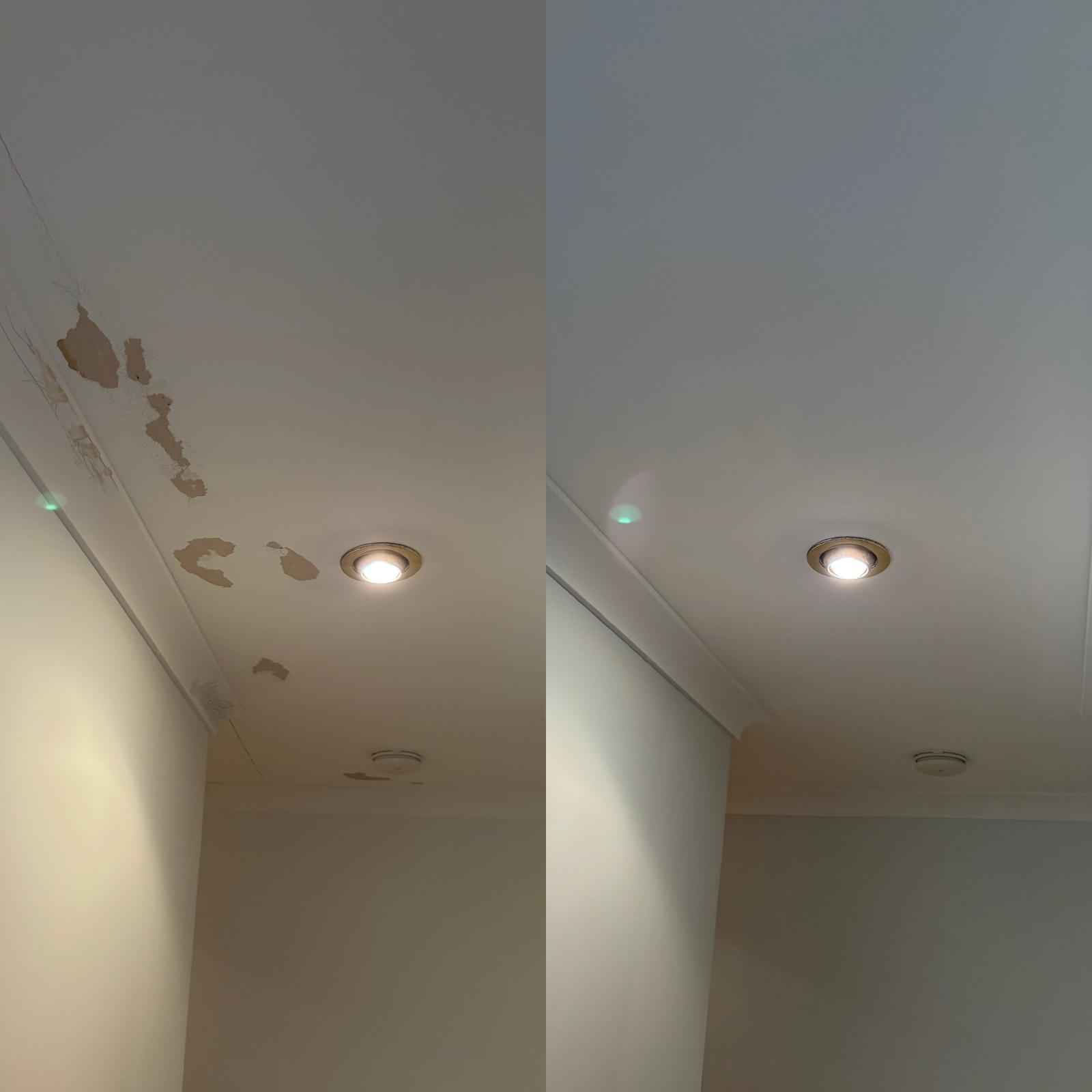 Painting Service team at work