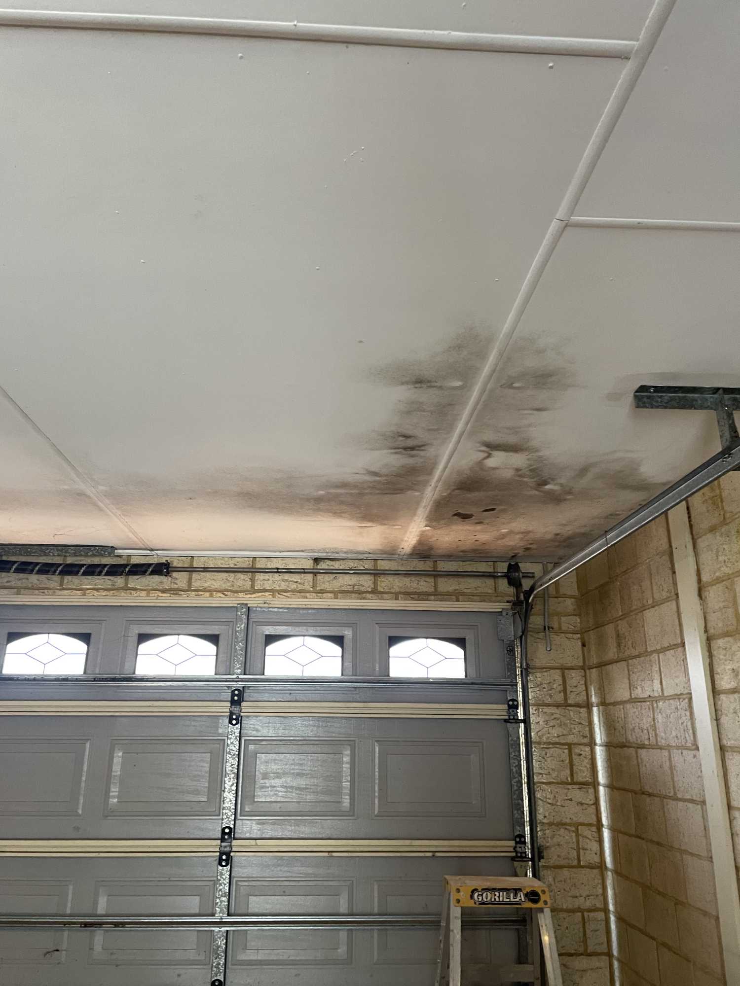 Before Repairs project